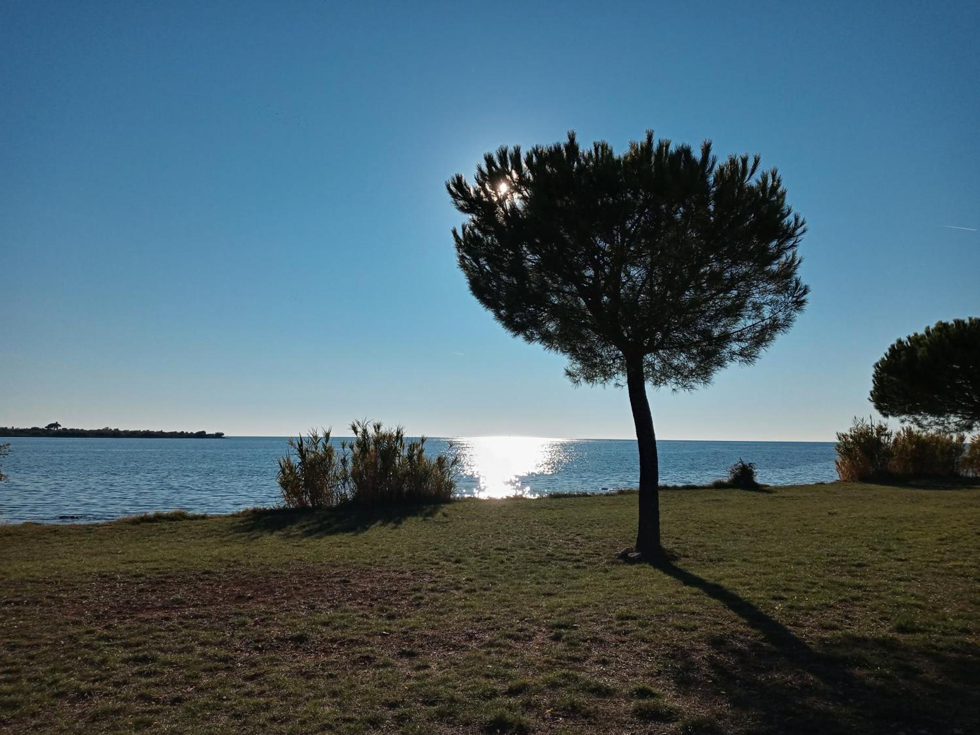 Ferienwohnung Sole 1 Novigrad Istria Exterior foto